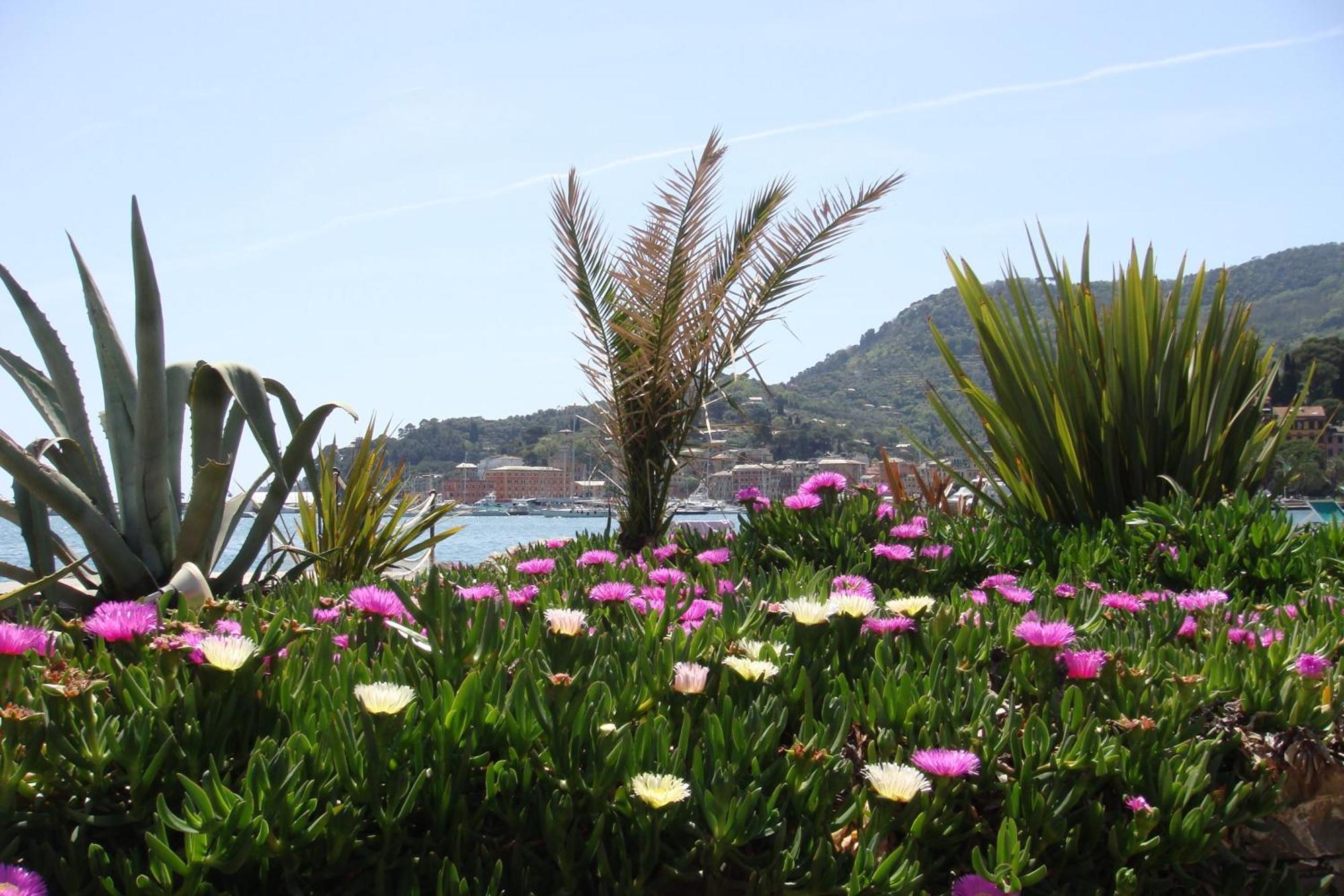 Hotel Helios Santa Margherita Ligure Buitenkant foto